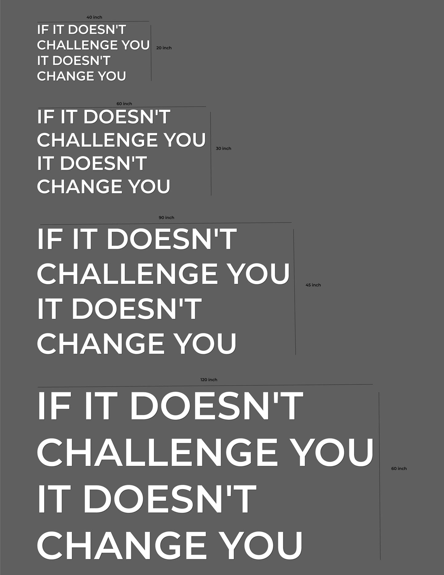 Gym Decor Wall Sign PVC Wall Letters for Home Gym, Fitness Studio & Workout Room "If It Doesn't Challenge You It Doesn't Change You"