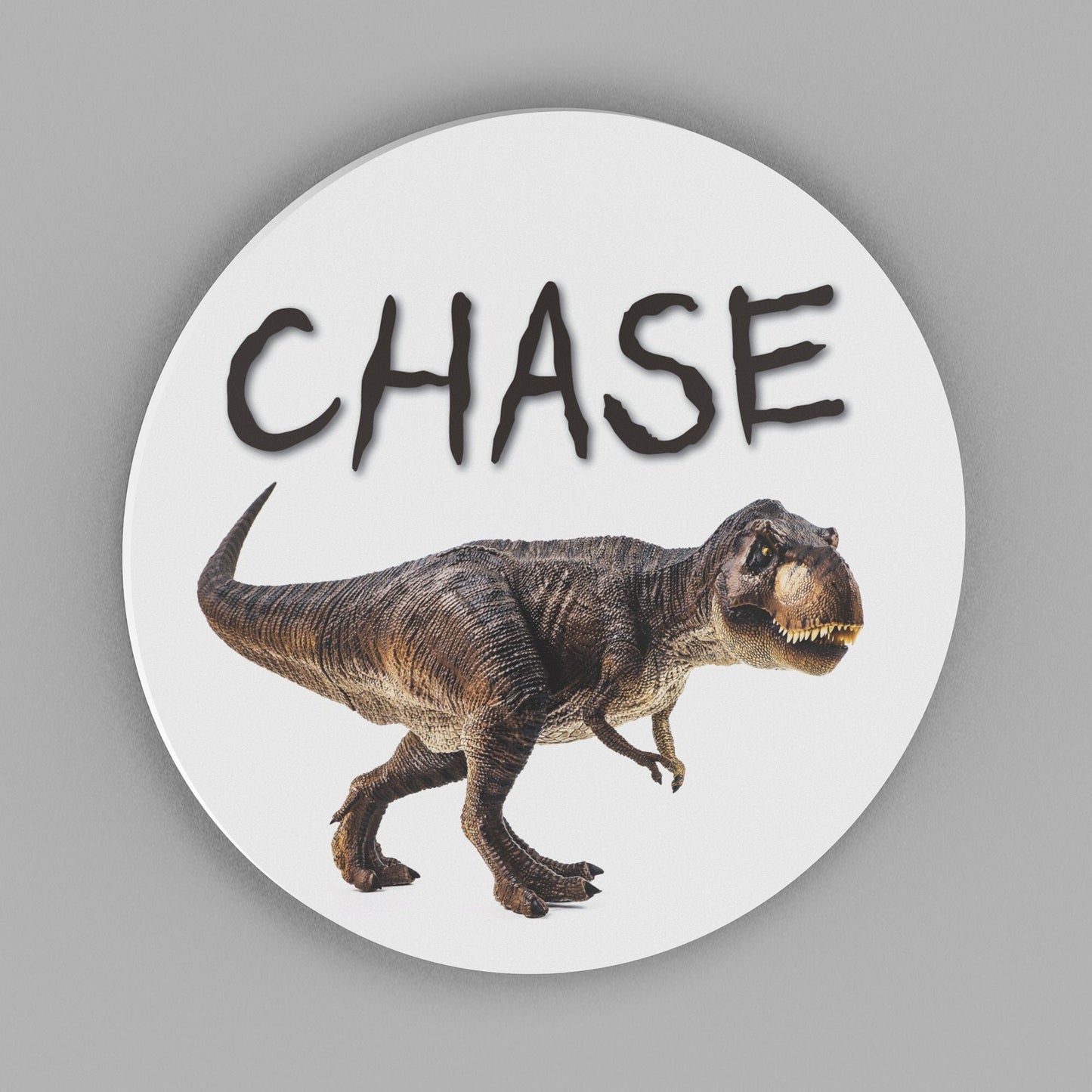 Kids Round Dinosaur Decor Sign, Personalized T-Rex Wall Sign